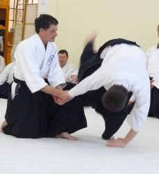 Aikido ukemi